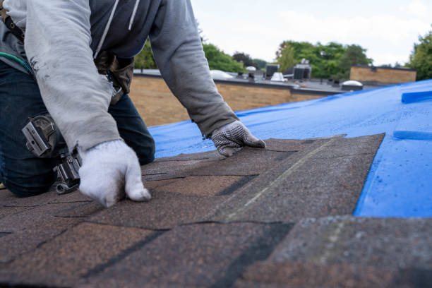 Best Roof Ventilation Installation  in Thonotosassa, FL