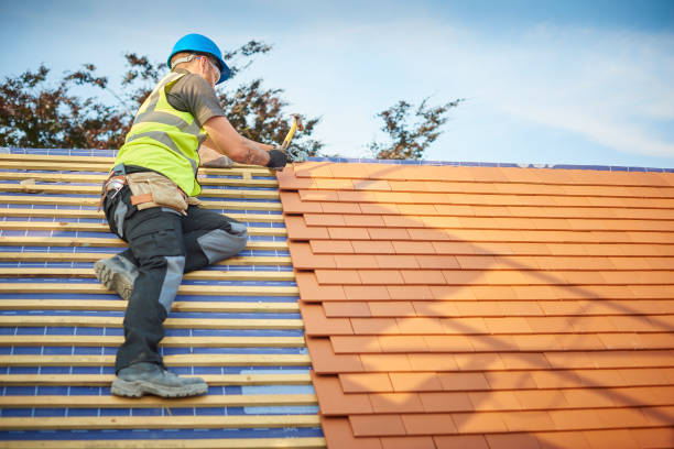 Best Roof Leak Repair  in Thonotosassa, FL